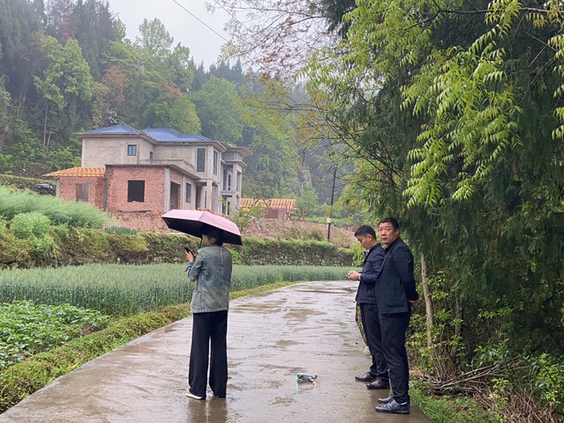 调研踏勘