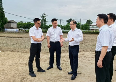 胡云赴眉山调研耕地；だ煤透叱叨扰┨锝ㄉ韫ぷ