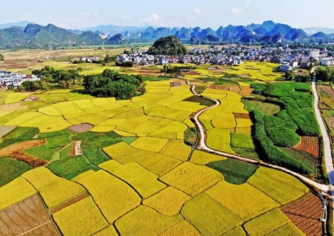 强化“指挥棒”作用&nbsp;&nbsp;金昌市发放500万元耕地；ぁ凹だ彀