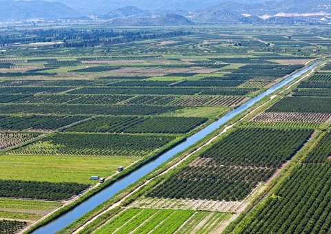 广西强化一时用地地皮复垦监管<br>激励地皮复垦规划审查和一时用地审批并联办理