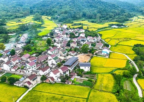 安徽省天然资源厅：130个乡镇耕地；こ删屯蛊 获赔偿激励1.3亿元