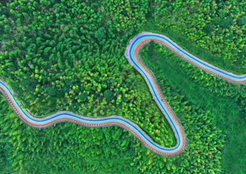 组合供给出新招，竹海收益节节高——桃江县“桃花江竹海”天然资源资产组合供给推动生态产品价值实现案例